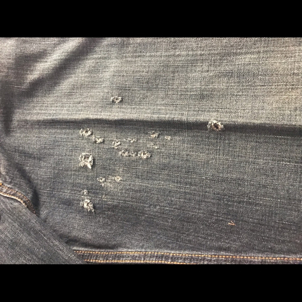 Cinch jeans